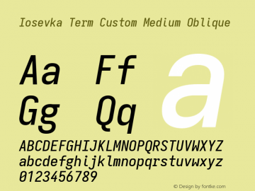 Iosevka Term Custom Medium Oblique Version 11.2.2图片样张