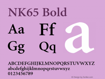 NK65 Bold OTF 1.000;PS 001.000;Core 1.0.29图片样张