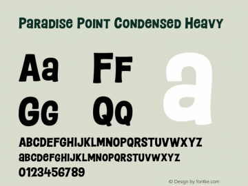 Paradise Point Condensed Heavy Version 1.000;hotconv 1.0.109;makeotfexe 2.5.65596图片样张