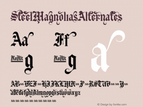 ☞Steel Magnolias Alternates Version 001.001;com.myfonts.bagraphics.steel-magnolias.alternates.wfkit2.2DzL图片样张