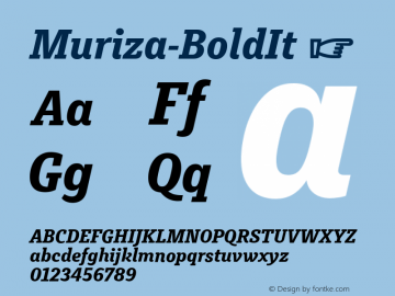 ☞Muriza Bold It Version 2.036;com.myfonts.easy.type-me-fonts.muriza.bold-italic.wfkit2.version.4cBH图片样张