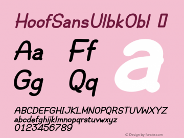 ☞HoofSans Ulbk Obl Version 1.025;com.myfonts.easy.scholtz.hoof.sans-ultrablack-oblique.wfkit2.version.4cJq图片样张