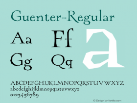 ☞Guenter Regular Version 1.000;com.myfonts.paratype.guenter.regular.wfkit2.3fGY图片样张