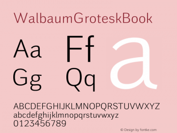 ☞WalbaumGroteskBook Version 1.000 2010 initial release;com.myfonts.storm.walbaum-grotesk-pro.walbaum-grotesk-32-pro.wfkit2.3BEd图片样张