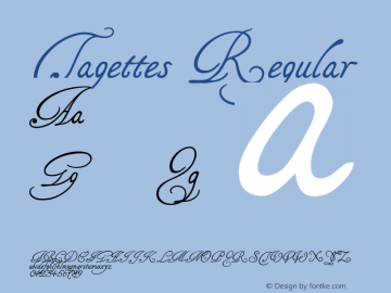 Tagettes Regular Version 1.0 March 2005, initial release图片样张