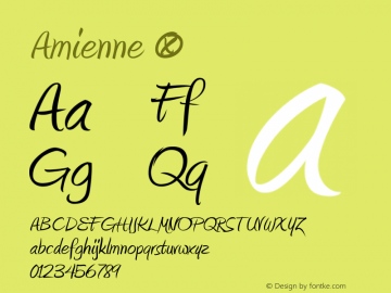 ☞Amienne Version 2.000;com.myfonts.typodermic.amienne.regular.wfkit2.31A1图片样张