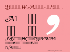 ☞BookmanSwaAltItcTLig Italic Version 001.005;com.myfonts.easy.urw.itc-bookman.swash-alternate-light-italic.wfkit2.version.3cy图片样张