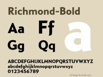 ☞Richmond-Bold Version 001.000 ;com.myfonts.easy.parkinson.richmond.bold.wfkit2.version.Y2P图片样张