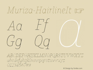 ☞Muriza Hairline It Version 2.036;com.myfonts.easy.type-me-fonts.muriza.hairline-italic.wfkit2.version.4cBi图片样张