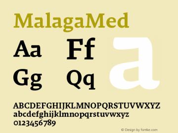 ☞MalagaMed Version 4.0; release; ttfautohint (v1.5);com.myfonts.easy.emigre.malaga.med.wfkit2.version.2WJY图片样张