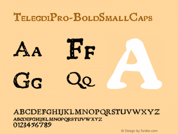 ☞TelegdiPro-BoldSmallCaps Version 001.001;com.myfonts.ihof.telegdi-pro.bold-smallcaps.wfkit2.3yXu图片样张