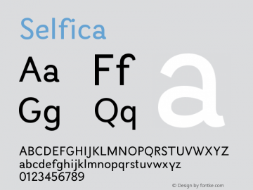 ☞Selfica 1.000; ttfautohint (v1.5);com.myfonts.easy.nootype.selfica.regular.wfkit2.version.41b1图片样张