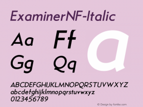 ☞Examiner NF Italic Version 001.000;com.myfonts.nicksfonts.examiner-nf.italic.wfkit2.3kCb图片样张