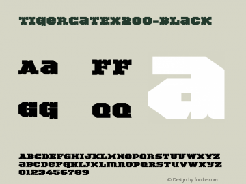 ☞TigerCat EX 200 Black Version 001.000;com.myfonts.easy.activesphere.tigercat.ex-200.wfkit2.version.4h9G图片样张