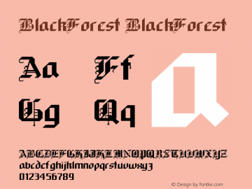 BlackForest BlackForest Version 001.001图片样张