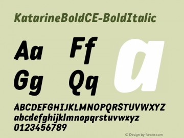 ☞Katarine Bold CE Bold Italic Version 0.5 ;com.myfonts.easy.suitcase.katarine.bold-bold-italic.wfkit2.version.2htq图片样张