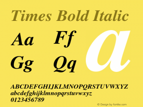 Times Bold Italic 001.009 Font Sample