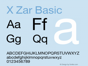 X Zar Basic Version 2.002 2005图片样张