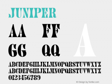 ☞Juniper Version 1.20; 2005;com.myfonts.easy.linotype.juniper.juniper.wfkit2.version.3K1X图片样张