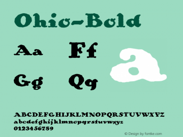 ☞Ohio-Bold Version 1.000;com.myfonts.easy.wiescherdesign.ohio.regular.wfkit2.version.3PMM图片样张