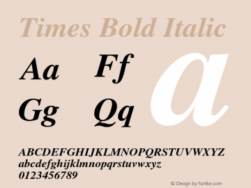 Times Bold Italic 001.009图片样张