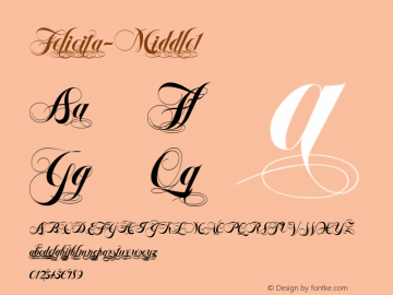 ☞Felicita-Middle1 001.000;com.myfonts.easy.wiescherdesign.felicita.middle-1.wfkit2.version.44YD图片样张