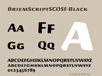 ☞BriemScriptSCOSF-Black Version 001.000 ;com.myfonts.easy.mti.briem-script.scosf-black.wfkit2.version.t1t图片样张