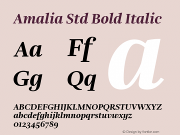 Amalia Std Bld Ita Version 1.0; 2018图片样张