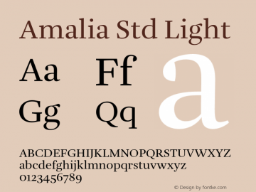 Amalia Std Lt Version 1.0; 2018图片样张