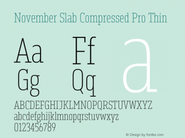 November Slab Comp Pro Thin Version 1.0; 2018图片样张