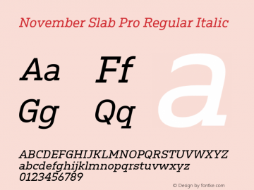 November Slab Pro Reg Ita Version 1.0; 2018图片样张