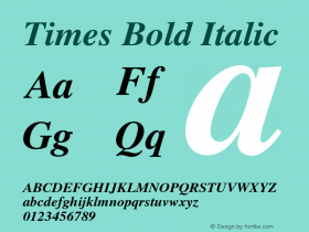 Times Bold Italic 001.009 Font Sample