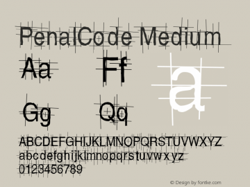 PenalCode Medium Version 001.000图片样张