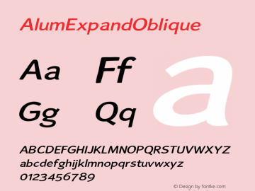 ☞Alum Expand Oblique Version 1.001;com.myfonts.easy.typotheticals.alum.expand-oblique.wfkit2.version.2jsZ图片样张