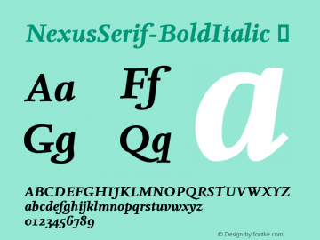 ☞NexusSerif-BoldItalic Version 4.460 2004;com.myfonts.easy.fontfont.nexus-serif.bold-italic.wfkit2.version.37sZ图片样张