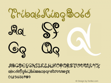 ☞TribalKingBold Version 1.000 2007 initial release;com.myfonts.easy.otto-maurer.tribal-king.bold.wfkit2.version.2Yfw图片样张