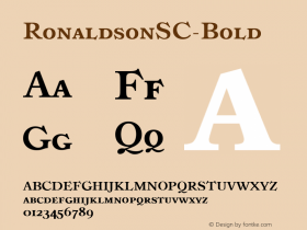 ☞Ronaldson SC Bold 1.0 February 2008;com.myfonts.easy.canadatype.ronaldson.bold-sc.wfkit2.version.31Vc图片样张