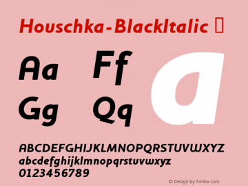 ☞Houschka-BlackItalic 001.000;com.myfonts.easy.fw-g-type.houschka.black-italic.wfkit2.version.3685图片样张