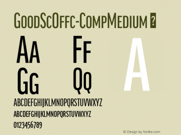 ☞Good SC Offc Comp Medium Version 7.504; 2014; Build 1020;com.myfonts.easy.fontfont.good-office.sc-offc-comp-medium.wfkit2.version.4bsZ图片样张