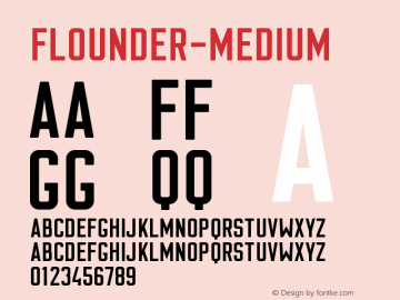 ☞Flounder Medium Version 1.000; ttfautohint (v1.5);com.myfonts.easy.dominik-krotscheck.Flounder.medium.wfkit2.version.4cCf图片样张
