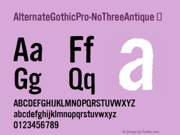 ☞Alternate Gothic Pro No Three Antique Version 001.001 2013;com.myfonts.easy.ef.alternate-gothic-pro-antique.alternate-gothic-pro-no-three-antique.wfkit2.version.4pR5图片样张