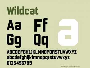 ☞Wildcat Wildcat (version 1.0)  by Keith Bates   •   © 2016   www.k-type.com; ttfautohint (v1.5);com.myfonts.easy.k-type.wildcat.regular.wfkit2.version.4wdc图片样张