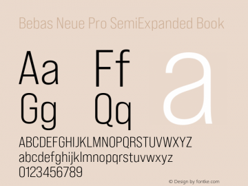 Bebas Neue Pro SemiExpanded Book Version 1.000;PS 001.000;hotconv 1.0.88;makeotf.lib2.5.64775图片样张