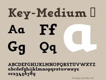 ☞Key-Medium 001.000;com.myfonts.easy.fw-alias.key.medium.wfkit2.version.36qn图片样张