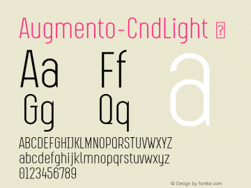 ☞Augmento Condensed Light Version 1.000;com.myfonts.easy.r9-type-design.augmento.condensed-light.wfkit2.version.511i图片样张