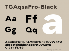 ☞TG Aqsa Pro Black Version 1.000; ttfautohint (v1.5);com.myfonts.easy.tegami-type.tg-aqsa-grotesque-pro.black.wfkit2.version.5d85图片样张