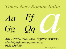 Times New Roman Italic Version 001.003图片样张