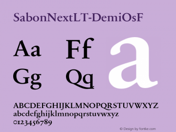 ☞SabonNext LT Demi Old Style Figures Version 1.02;2005;com.myfonts.easy.linotype.sabon-next.lt-demi-osf.wfkit2.version.54eF图片样张