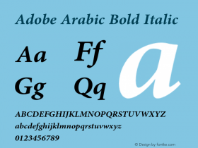 Adobe Arabic Bold Italic Version 1.12 build 001图片样张