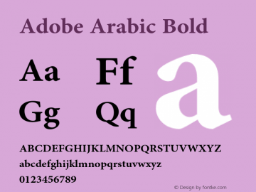 Adobe Arabic Bold Version 1.016图片样张